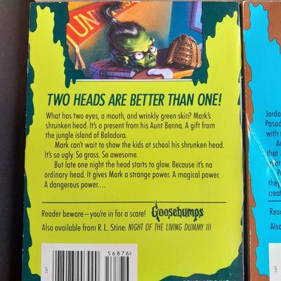 Soft Back Scholastics Goose Bumps Chapter books R.L. Stine