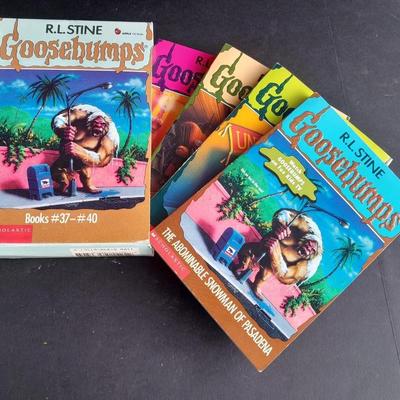 Soft Back Scholastics Goose Bumps Chapter books R.L. Stine