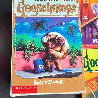 Soft Back Scholastics Goose Bumps Chapter books R.L. Stine