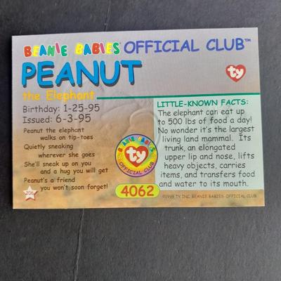 Mcdonalds Ty Beanie Babies Bronty and Peanut, each with Collectible card