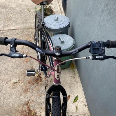 Vintage Schwinn bike