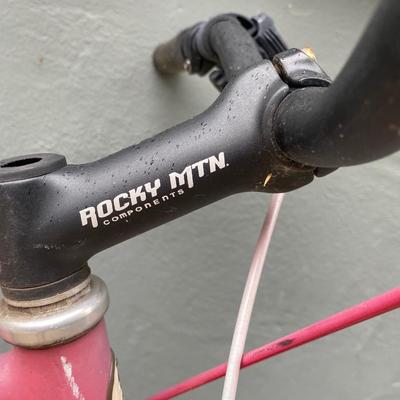 Vintage Schwinn bike
