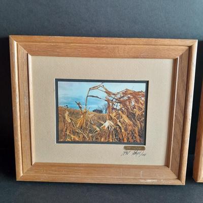 Two Framed and Signed pictures Mabry Mill and Barn thru the corn HAND SIGNED and NUMBERED!