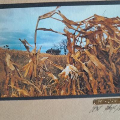 Two Framed and Signed pictures Mabry Mill and Barn thru the corn HAND SIGNED and NUMBERED!