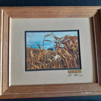 Two Framed and Signed pictures Mabry Mill and Barn thru the corn HAND SIGNED and NUMBERED!