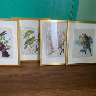 4 Bird Prints