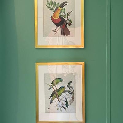 4 Bird Prints