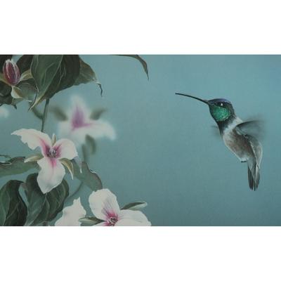 Hummingbird and Flowers Print by Paul J. Lopez