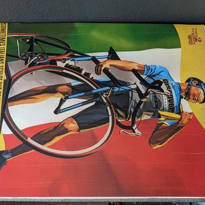 2006 Race to Replace Cyclist Posters
