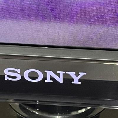 SONY ~ 46â€ LCD Digital Color Television