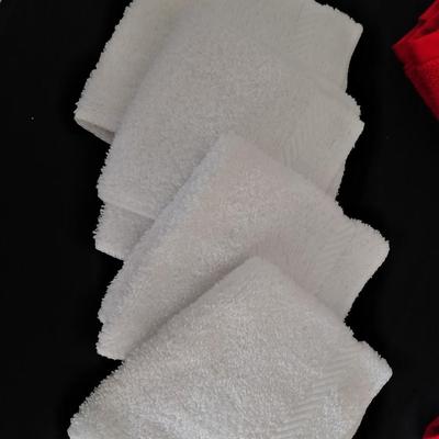 Red room essential bath towels, white washcloths with Lady bug themed massager
