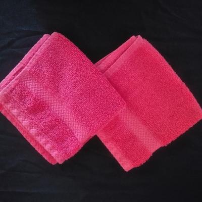 Bath towels, Washcloth, makeup / RX bag, and an over the door hanger hook