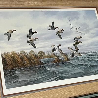 DAVID MASS ~ Ducks Flying S/N Framed Print ~ *Read Details