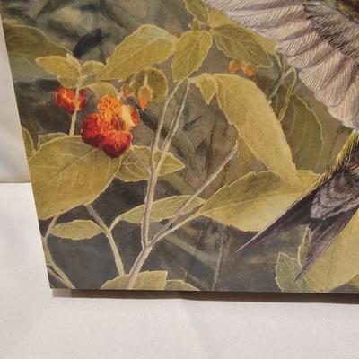 Pair of Hummingbird Prints (MB-JS)