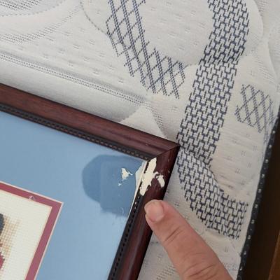 4 Pieces of Framed Needlepoint