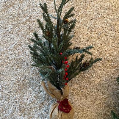 Lot of foliage decor