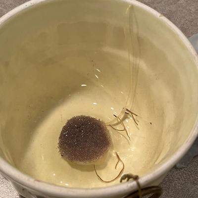 Jello mold