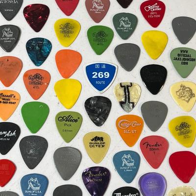 LIFETIME GUITAR PICK COLLECTION 130+ COUNT