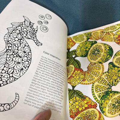 â€œPATTERNS OF NATUREâ€ ADULT COLORING BOOK 