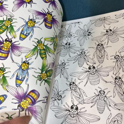 â€œPATTERNS OF NATUREâ€ ADULT COLORING BOOK 