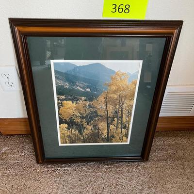 Colorado Mountain Photo