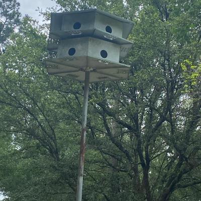 Purple Martin bird house