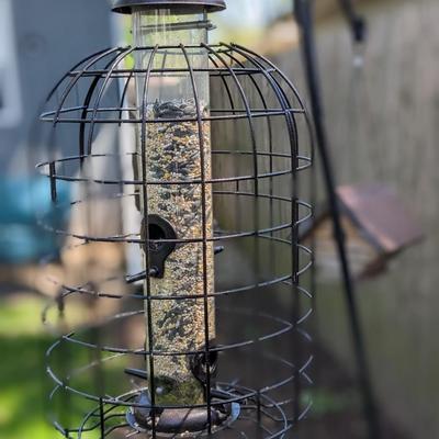 Quality Bird Feeder with Shepard's Hook