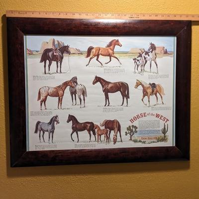 Horse Breed Framed Print