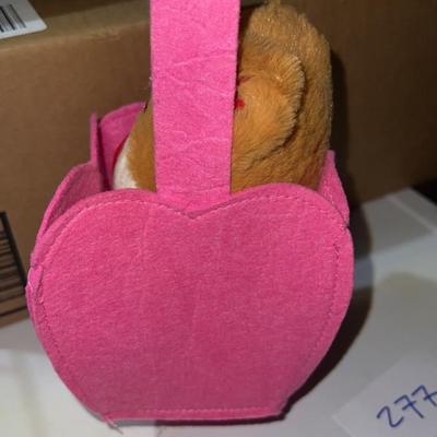 teddy bear in a bag