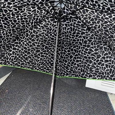 cute pattern umbrella