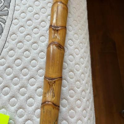 Bamboo Cane