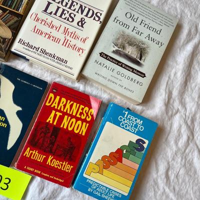 Lot of paperbacks