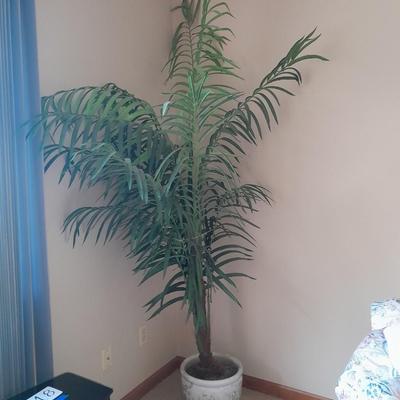 89" tall Fake Bamboo Houseplant in Beautiful 13" ceramic pot