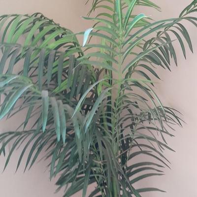 89" tall Fake Bamboo Houseplant in Beautiful 13" ceramic pot