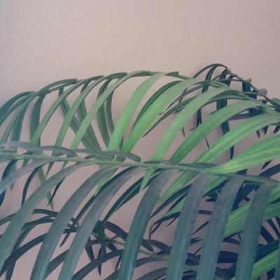 89" tall Fake Bamboo Houseplant in Beautiful 13" ceramic pot