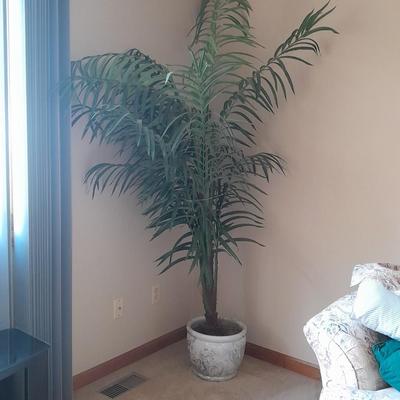89" tall Fake Bamboo Houseplant in Beautiful 13" ceramic pot