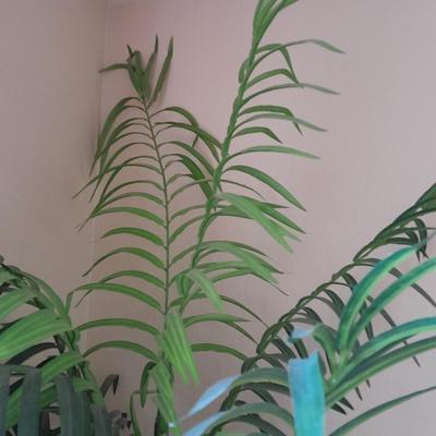 89" tall Fake Bamboo Houseplant in Beautiful 13" ceramic pot