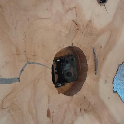 Vintage large tree slab wall clock