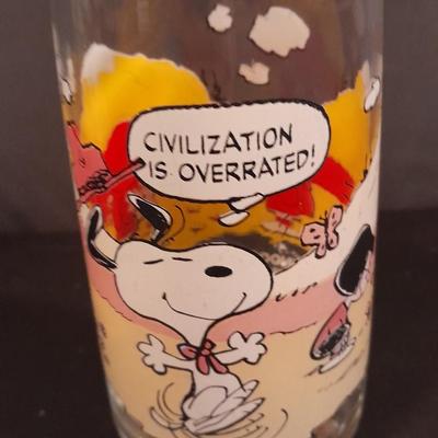 Two Vintage Peanut's McDonalds glasses from the Camp Snoopy Collection