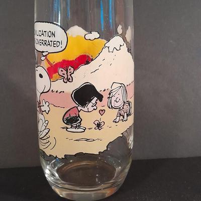 Two Vintage Peanut's McDonalds glasses from the Camp Snoopy Collection