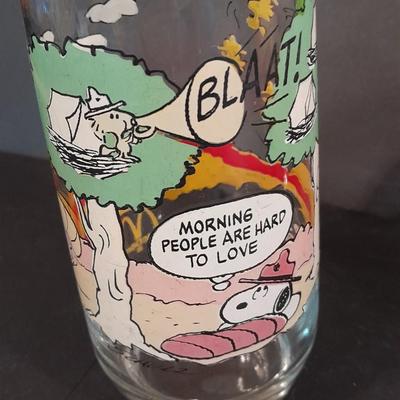 Two Vintage Peanut's McDonalds glasses from the Camp Snoopy Collection