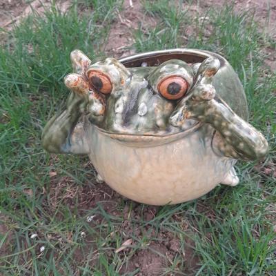 Ceramic frog planter and Resin yard frog on a stump