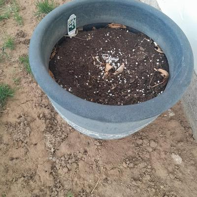 13" tall Light weight plant pot
