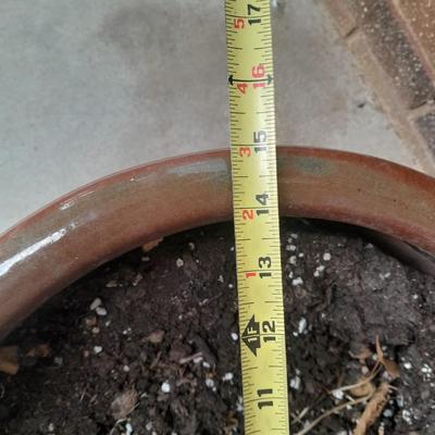 13" tall ceramic plant pot