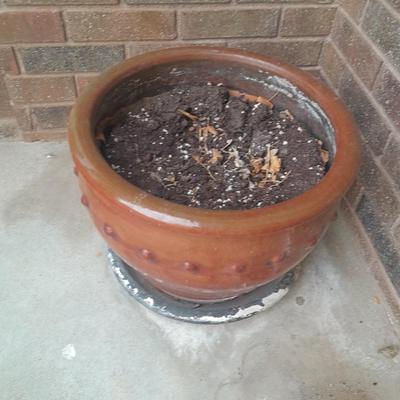 13" tall ceramic plant pot