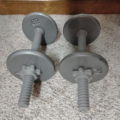 Abdomenizer, the intelligent sit-up with two 25ln weights, and a new container of tennis balls