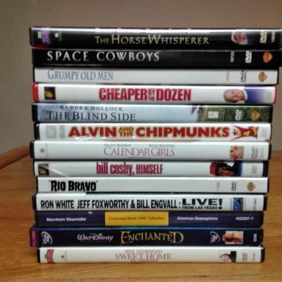 Movies on DVD for the Movie Buff in your life! Cheaper by the Dozen, The blind Side, Ron White and Jeff foxworthy