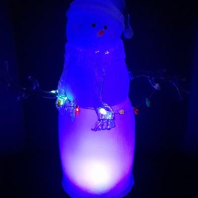 JC Penney Home Collection Acrylics Aglow Christmas Snow Man