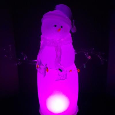 JC Penney Home Collection Acrylics Aglow Christmas Snow Man