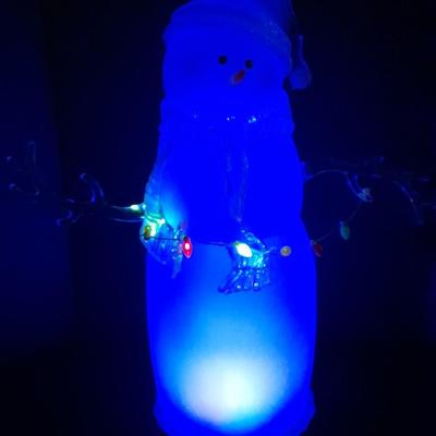 JC Penney Home Collection Acrylics Aglow Christmas Snow Man